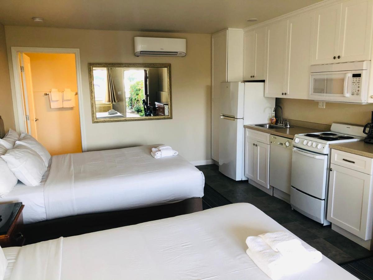 Moonlight Beach Motel Encinitas Esterno foto