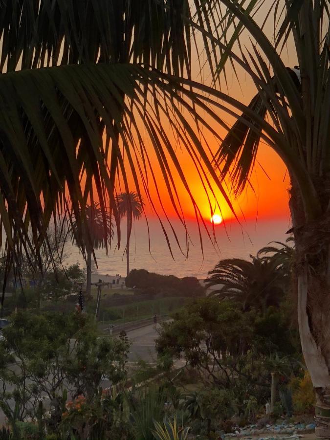 Moonlight Beach Motel Encinitas Esterno foto